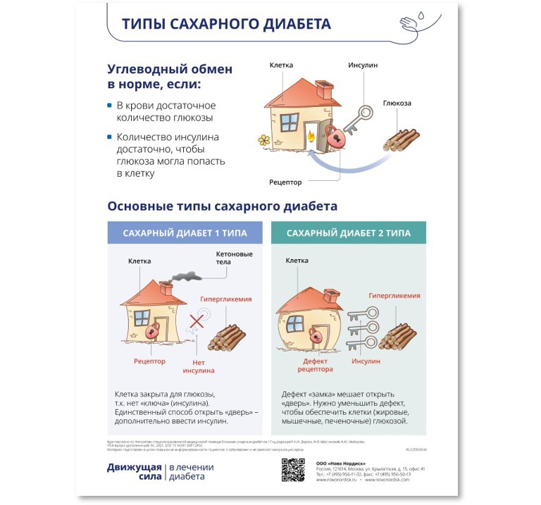 Чем полезен шиповник? | Городская поликлиника 4